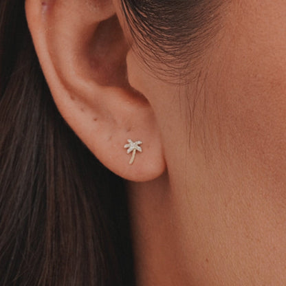 0.082 TCW Round Lab Grown Diamond Palm Stud Earrings