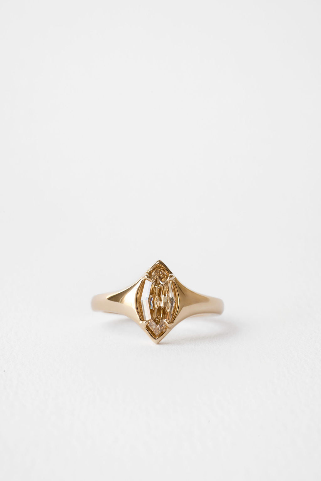 2 CT Round Halo & Pave Lab Grown Diamond Engagement Ring