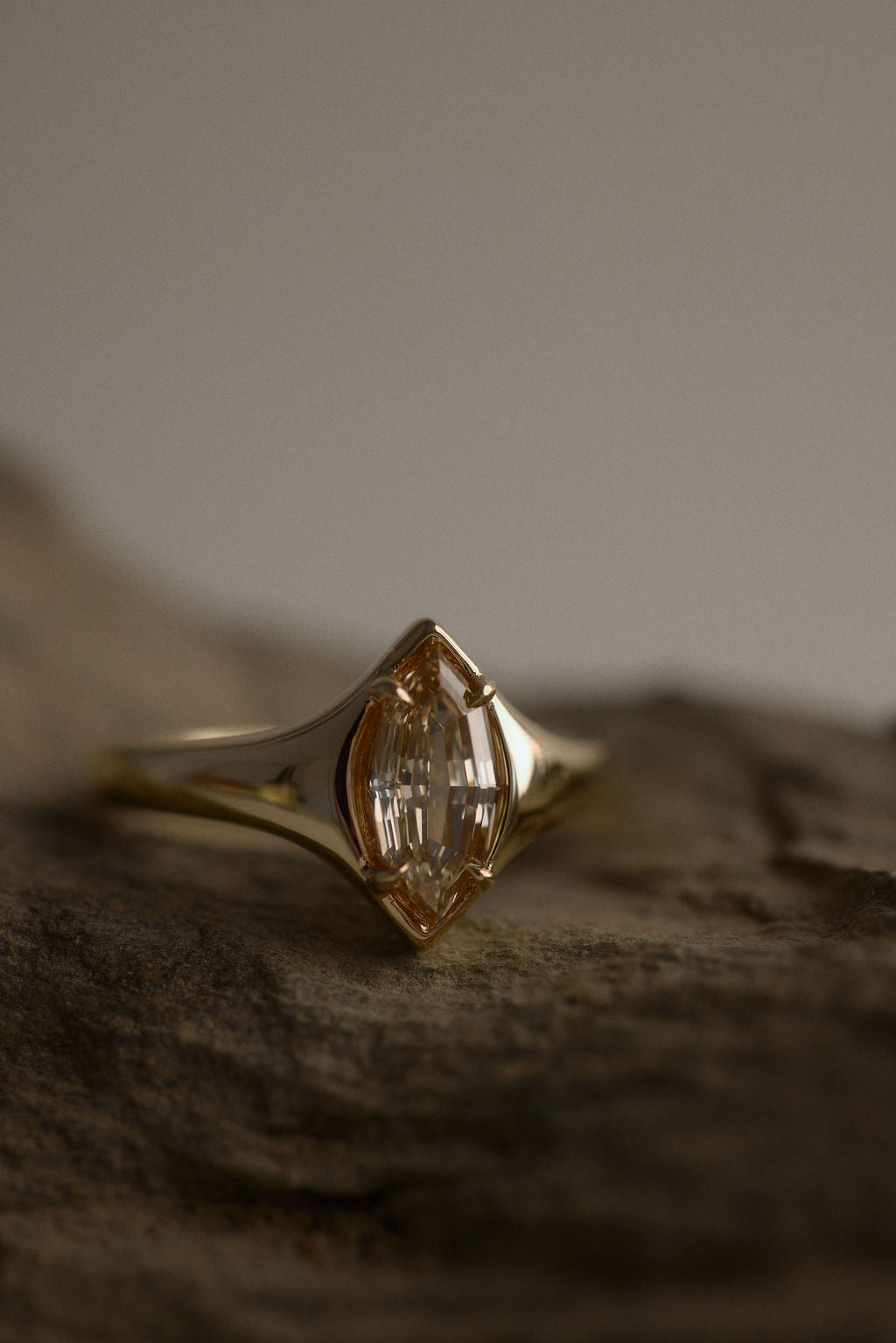 2 CT Round Halo & Pave Lab Grown Diamond Engagement Ring