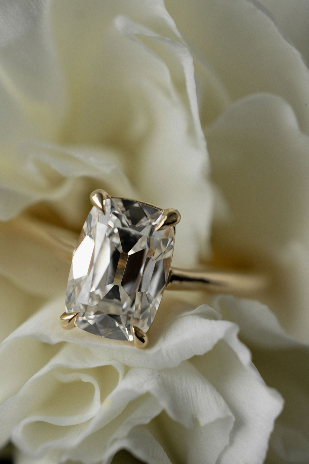 2 CT Round Halo & Pave Lab Grown Diamond Engagement Ring