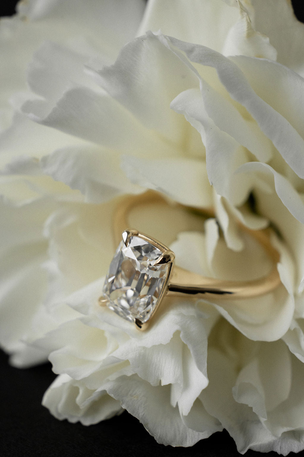 2 CT Round Halo & Pave Lab Grown Diamond Engagement Ring