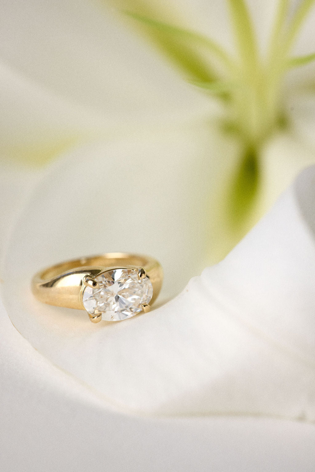 2 CT Round Halo & Pave Lab Grown Diamond Engagement Ring