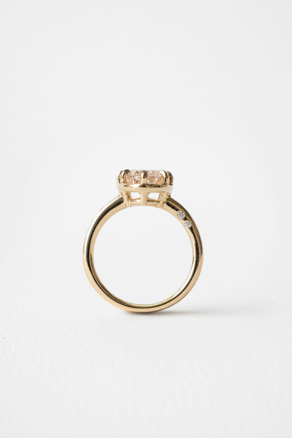 2 CT Round Halo & Pave Lab Grown Diamond Engagement Ring